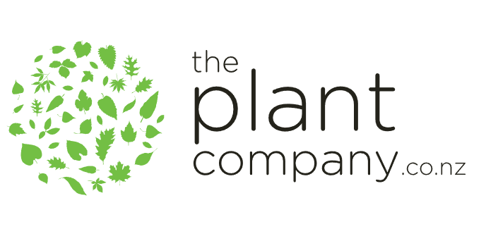The plant compnay logo